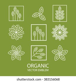 Vector abstract set emblem,outline monogram, flower symbol, concept for organic shop or yoga studio, logo design template, linear logo design template,organic food and farming,green,vegan food concept