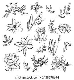 Vector abstract set with roses, lilies, leaves. Hand drawing. Flower set