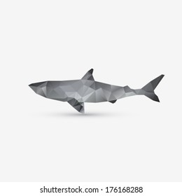 Vector abstract shark background illustration