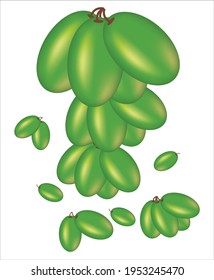 Vector Abstract showing grapes on white background