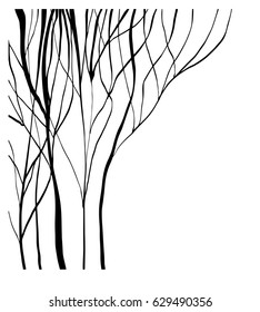 Vector of abstract silhouette of trees without leaves on white background, isolated illustration in black color, high quality