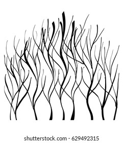 Vector of abstract silhouette of trees without leaves on white background, isolated illustration in black color, high quality