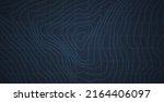 Vector Abstract Topographic Map Conceptual Pale Dark Blue Wallpaper. Geographic Topology Structure With Depth Elevation. Topography Relief Territory Cartography Art Wide Background