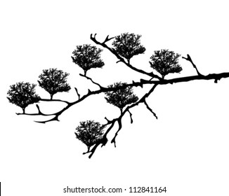 vector abstract tree branch silhouette with little trees