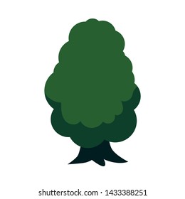 Vector abstract tree with majestic green foliage canopy. Natural element for game landscape design. Forest plant flat icon. Symbol of ecology and environment. Isolated illustration