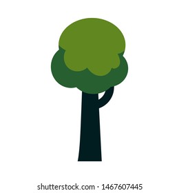 Vector abstract tree with majestic green foliage canopy. Natural element for game landscape design. Forest plant flat icon. Symbol of ecology and environment. Isolated illustration
