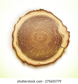 Vector abstract tree stump, round cut with annual rings. Realistic eco illustration.