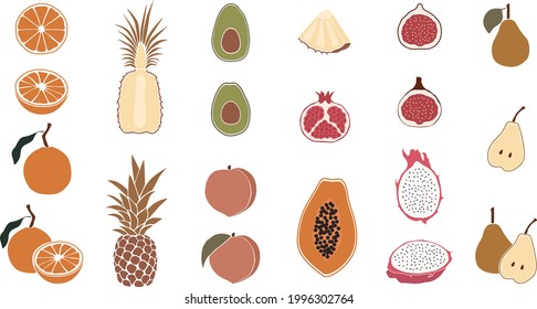 vector abstract tropical fruits illustration