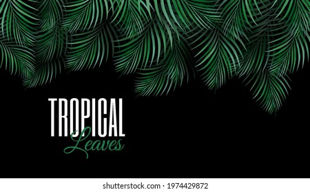 Vector abstract tropical leaf background with place for text. Tropic leaves pattern. Green foliage border. Summer and spring design element. Decoration Jungle. Exotic palm tree branches. Dark forest.