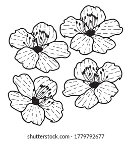 flor vectorial, abstracta y de papel pintado 