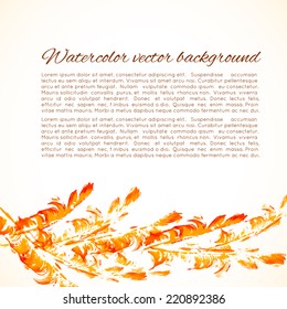 Vector abstract watercolor background with feathers. Design template with place for your text. Can be used for web pages, identity style, printing, invitations, cards, etc.
