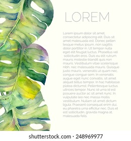 Vector abstract watercolor background with liana leaves. Design template with place for your text. Can be used for web pages, identity style, printing, invitations, banners