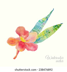 Vector abstract watercolor background with oleander leaves and flowers. Design template with place for your text. Can be used for web pages, identity style, printing, invitations, banners