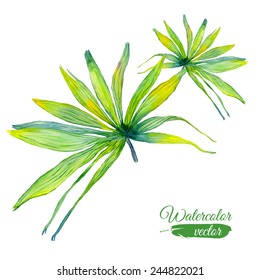 Vector abstract watercolor banners with palm leaves and flowers. Design template with place for your text. Can be used for web pages, identity style, printing, invitations, banners, cards, leaflets.