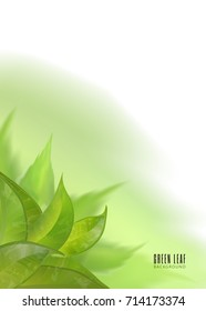 Vector abstract watercolor imitation background with leaves. Design template with place for your text. Can be used for web pages, identity style, printing, invitations, banners.