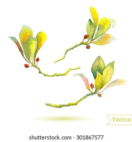 Vector abstract watercolor leaves. Isolated tropical plants with berries.
