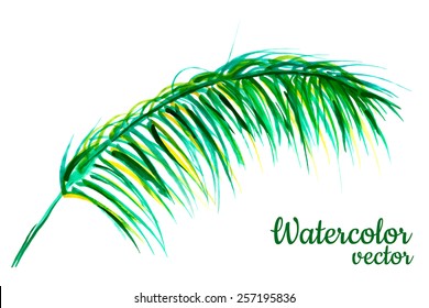 Vector abstract watercolor  palm leaf.  