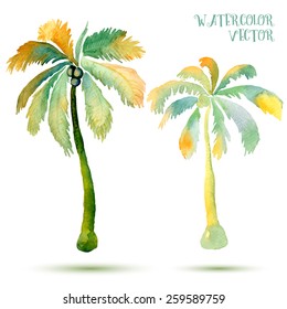 Vector abstract watercolor palms. 