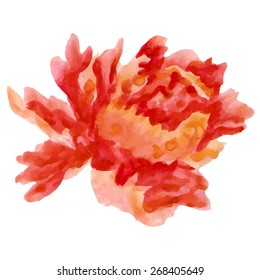 Vector abstract watercolor seamless pattern with peony flowers and leaves. Can be used for web pages, identity style, printing, invitations, banners