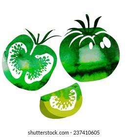 vector abstract watercolor tomato
