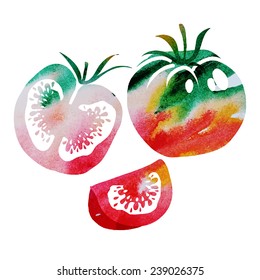vector abstract watercolor tomato
