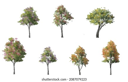 Vector of abstract watercolor tree side  view isolated on white background  for landscape plan and architecture layout drawing, elements for environment and garden,blossom grass,flower blooming
