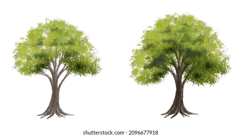 Vector de la vista abstracta de árbol de acuarela aislado en fondo blanco para el plano de paisaje y diseño de arquitectura, elementos para el medio ambiente y jardín