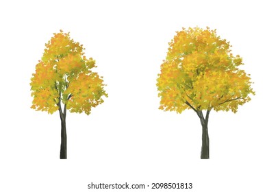 Vector of abstract watercolor tree side view isolated on white background  for landscape plan and architecture layout drawing, elements for environment and garden,blossom grass,flower blooming
