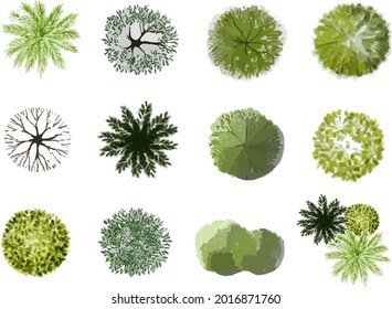 9,343 Top View Plant Watercolor Images, Stock Photos & Vectors 