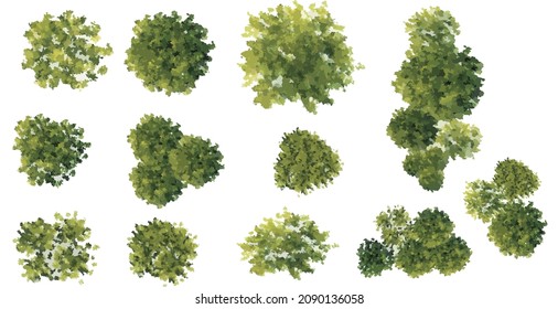 Vector de la vista de la parte superior del árbol de acuarela abstracta aislado en fondo blanco para el plano de paisaje y diseño de arquitectura, elementos para el medio ambiente y el jardín, hierba 