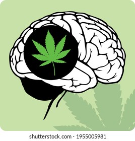 Extracción vectorial de cannabis en el cerebro humano
