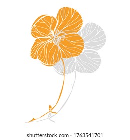 Vector Abutilon. Floral design. Flowers
