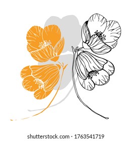 Vector Abutilon. Diseño floral. Flores