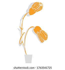 Vector Abutilon. Floral design. Flowers