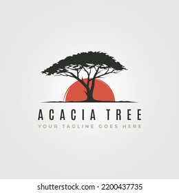 vector of acacia tree silhouette logo with sunset symbol illustration design, vintage tree logo design