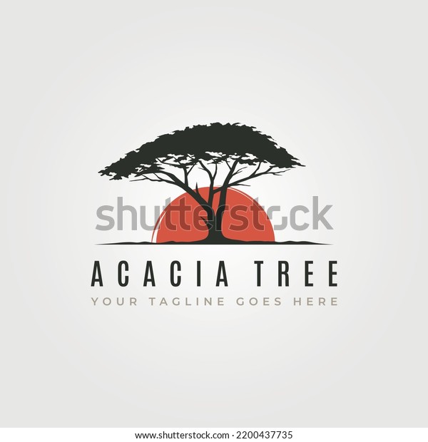 vector of acacia tree\
silhouette logo with sunset symbol illustration design, vintage\
tree logo design