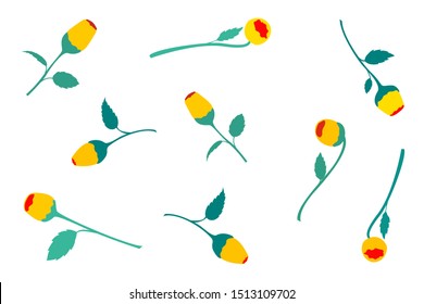 vector of Acmella oleracea flower heads and leaves pattern