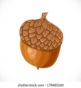 Vector acorn isolated on white background