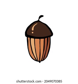Vector acorn isolated on white background. Vector, flat design. Hand-drawn.