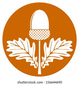 vector acorn with leaves isolated on orange round