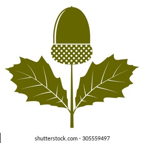 vector acorn with leaves isolated on white background