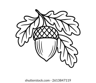 Vector acorn with leaves. Simple outline style.