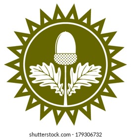 vector acorn with leaves in sun isolated on white background