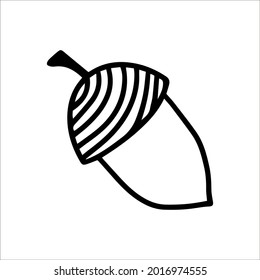 Vector acorn, oak fruit isolated on white background icon. Illustration for seasonal design, textile, decoration kids playroom or greeting card, autumn and halloween. Hand drawn prints and doodle. 