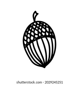 Vector acorn, oak fruit isolated on white background icon. Illustration for seasonal design, textile, decoration kids playroom or greeting card, autumn and halloween. Hand drawn prints and doodle. 