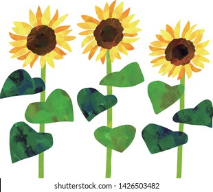 Vector acrylic illustration of sunflower. Hand-drawn texture.