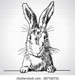 Vector adorable hand-drawn rabbit