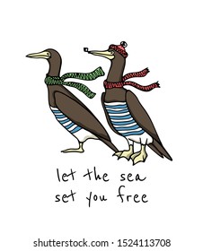 Vector adventure card with hand drawn funny Brown Boobies in sailor outfits. Ink drawing, beautiful design elements.