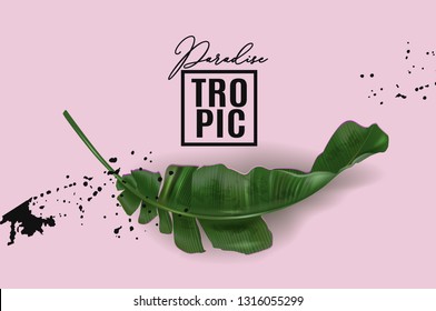 Vector advertising banner with green banana leaf with black splash on pink. Exotic botany template for cosmetics, spa, perfume, woman health care product, tourist agency. Best as pakaging design