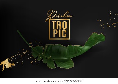 Vector advertising banner with green banana leaf and gold splash on black. Exotic botany template for cosmetics, spa, perfume, woman health care product, tourist agency. Best as pakaging design